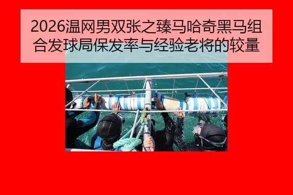2026温网男双张之臻马哈奇黑马组合发球局保发率与经验老将的较量