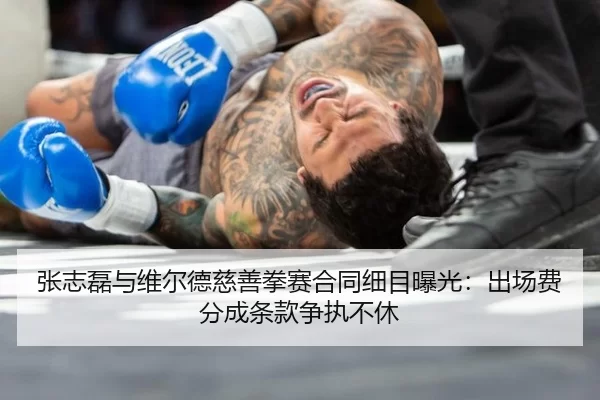 张志磊与维尔德慈善拳赛合同细目曝光：出场费分成条款争执不休